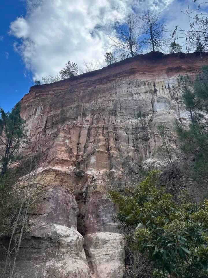Day trips to Florida Caverns & bluffs