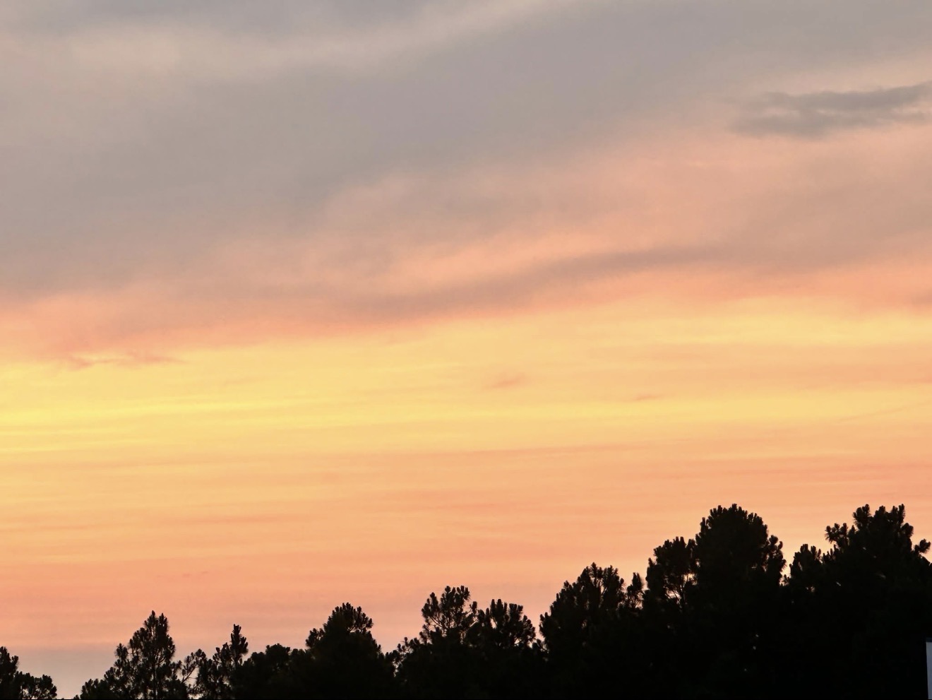 Sunset drives across the panhandle